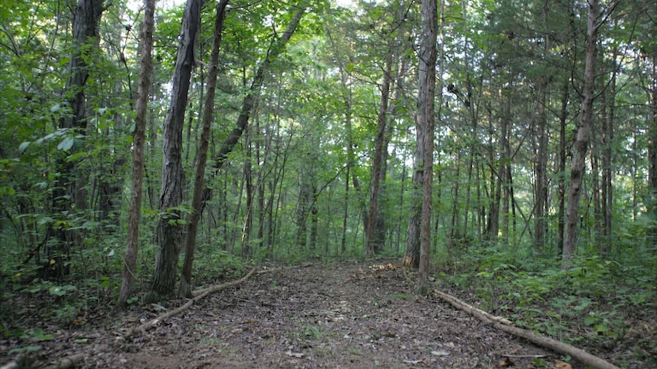 Photo of Others in Park Hills