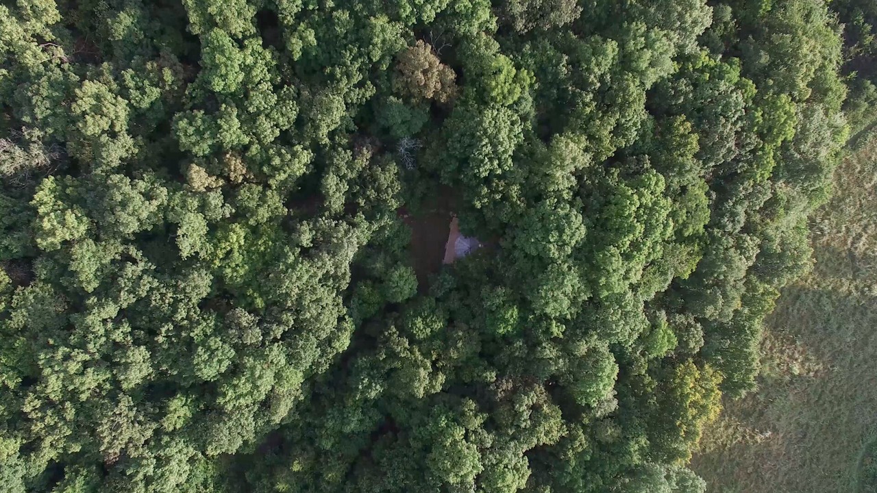 Photo of Others in Park Hills