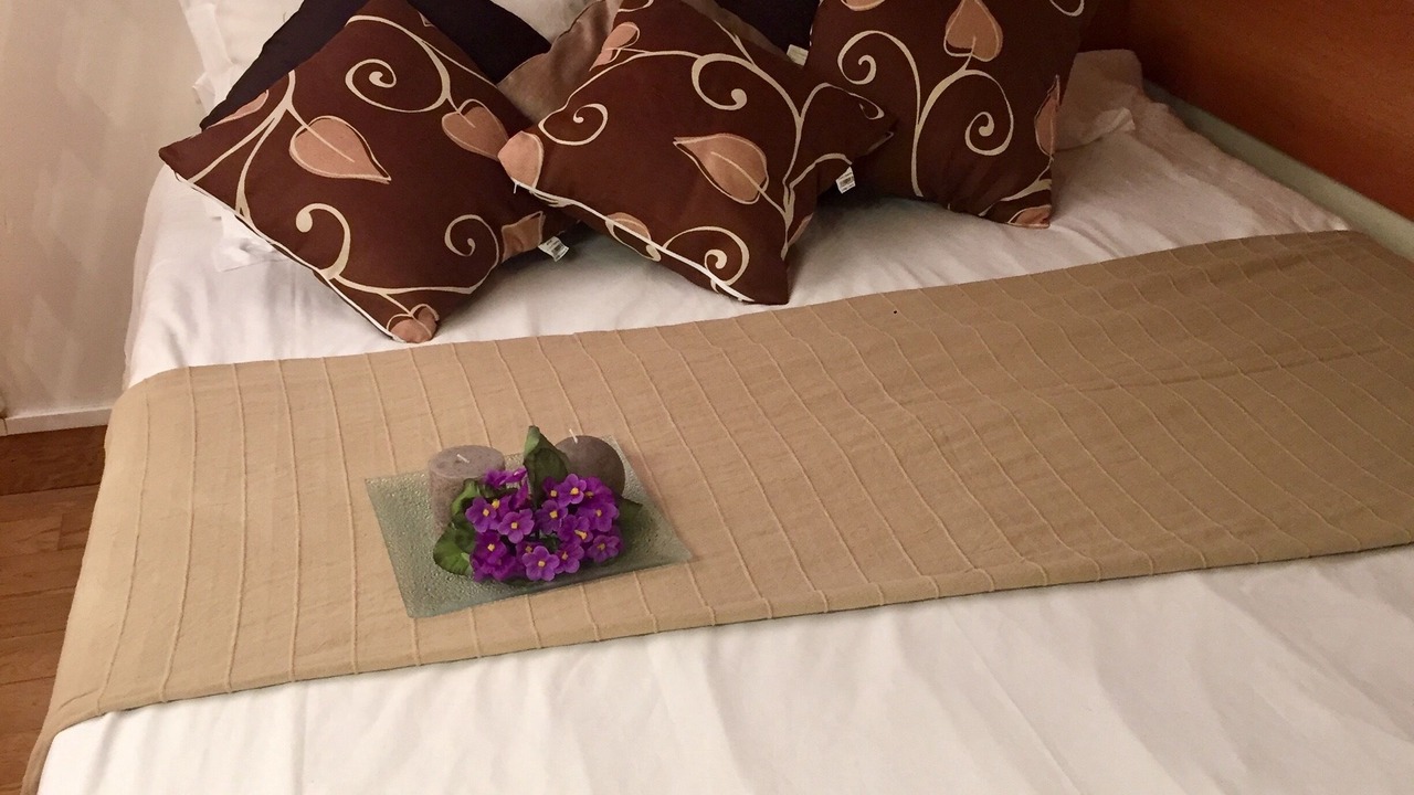 Photo of Bedroom in Grenelle