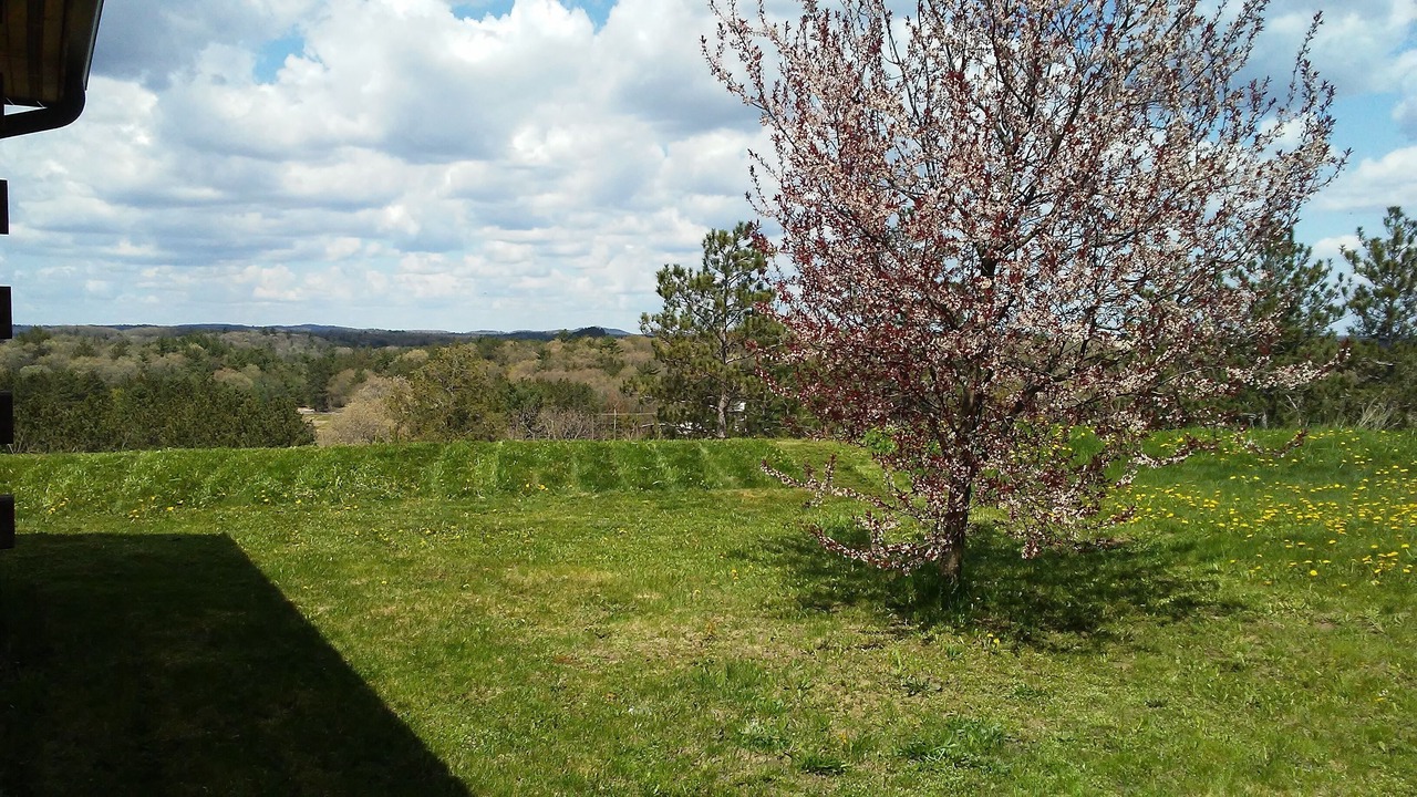 Photo of Outdoor in Warrens