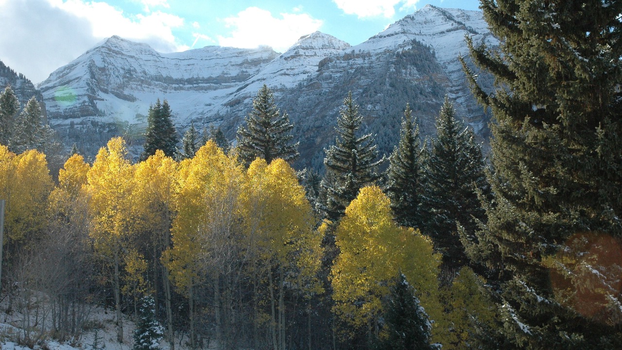Photo of Others in Sundance