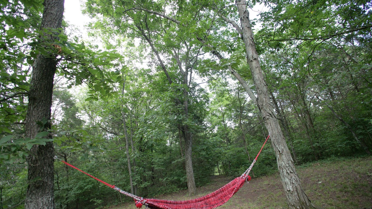 Photo of Others in Park Hills