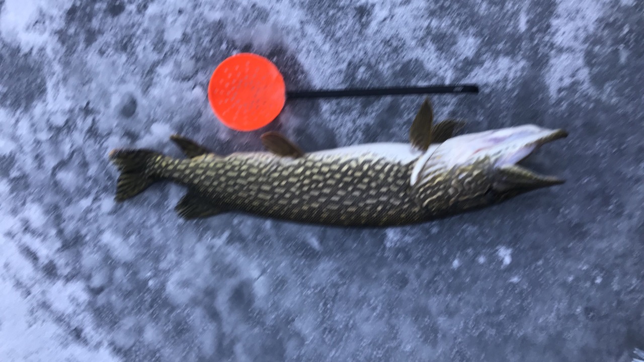 Photo of Outdoor in Campbellsport