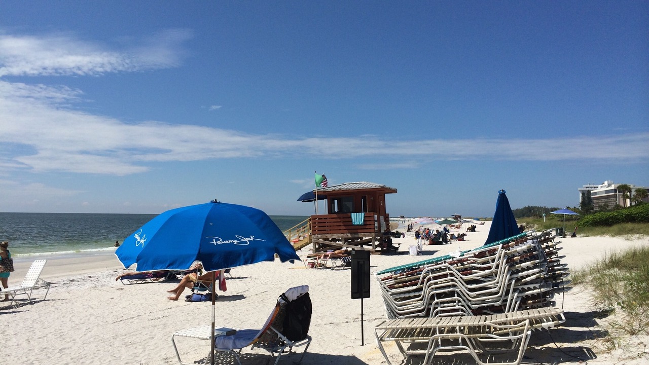 Photo of Others in Sarasota