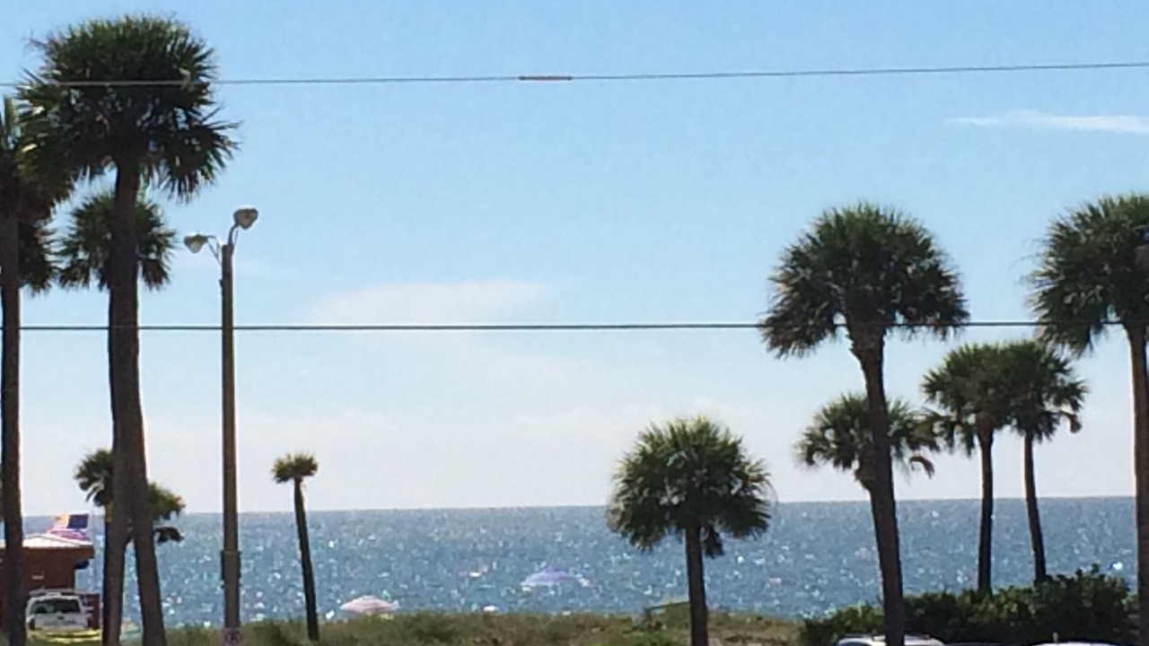 Photo of Others in Sarasota