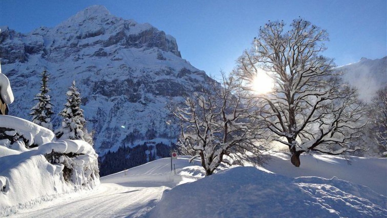 Photo of Others in Grindelwald
