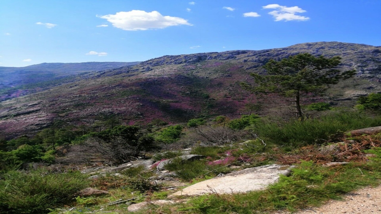Photo of Outdoor in Cabril