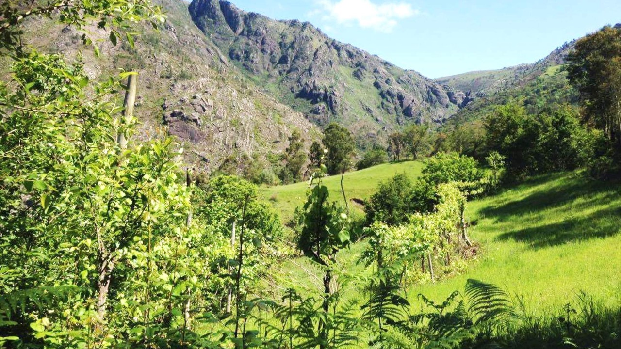 Photo of Outdoor in Cabril