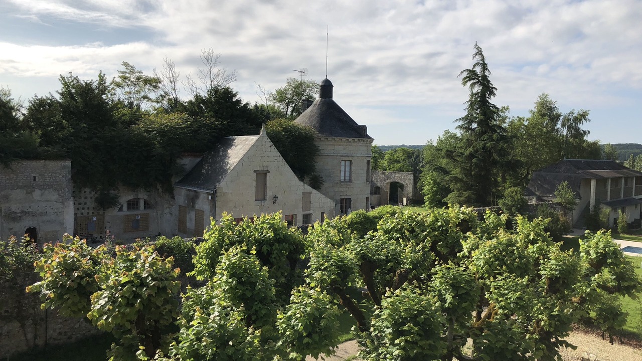 Photo of Outdoor in Azay-le-Rideau