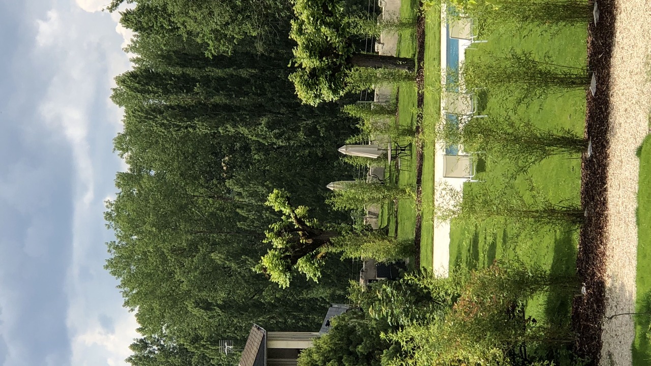 Photo of Others in Azay-le-Rideau