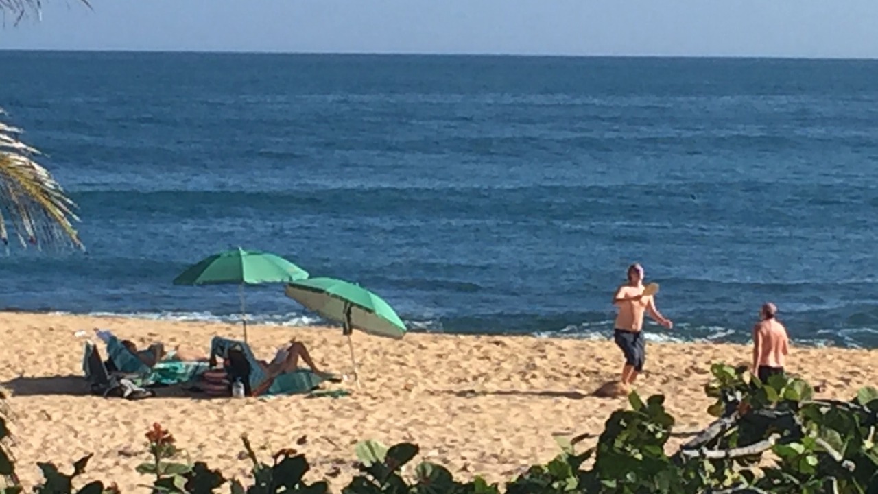 Photo of Others in Manati