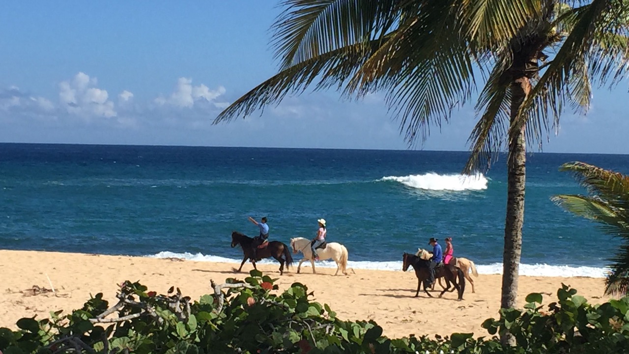 Photo of Others in Manati