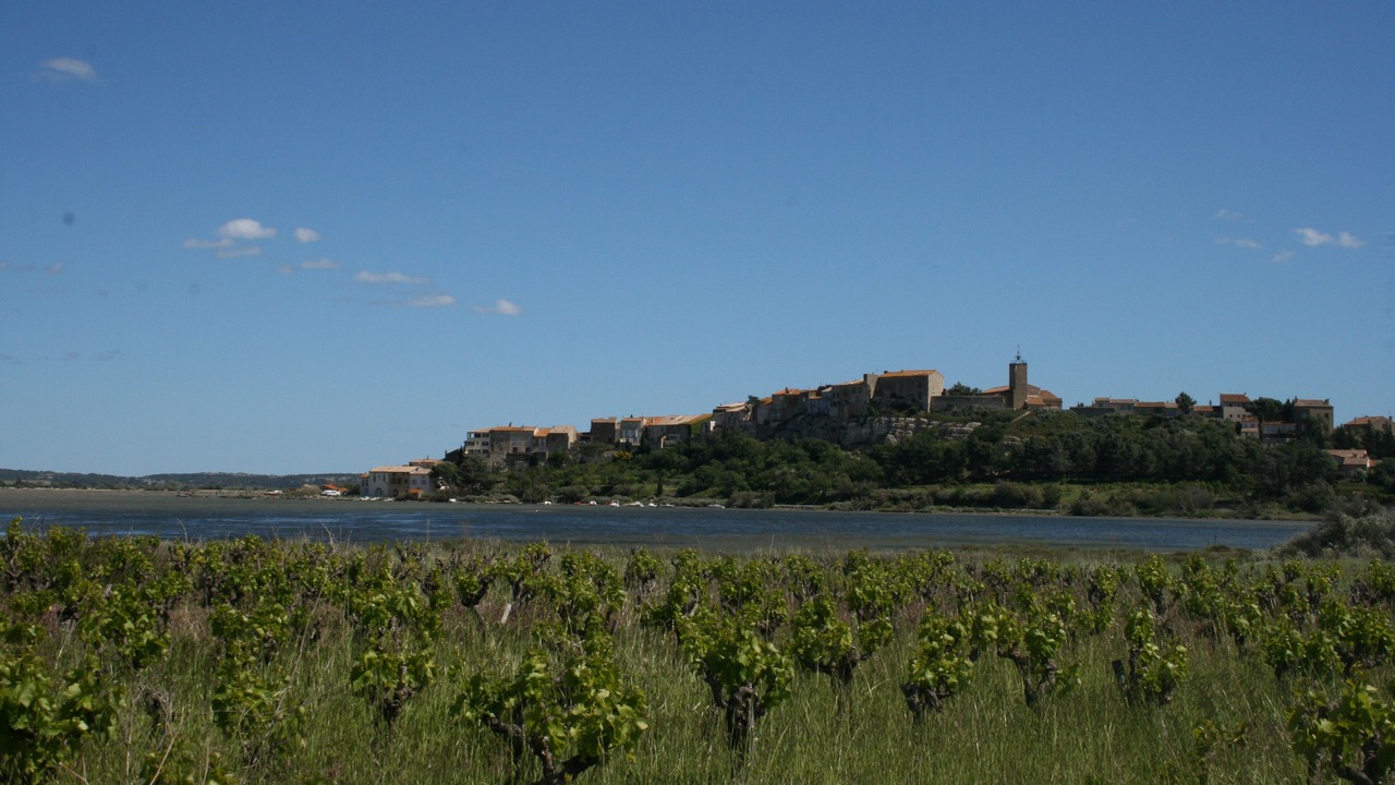 Photo of Outdoor in Bages