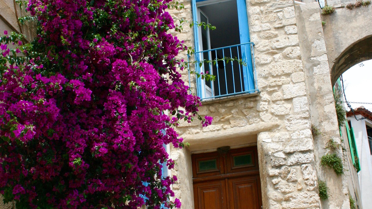 Photo of Outdoor in Bages