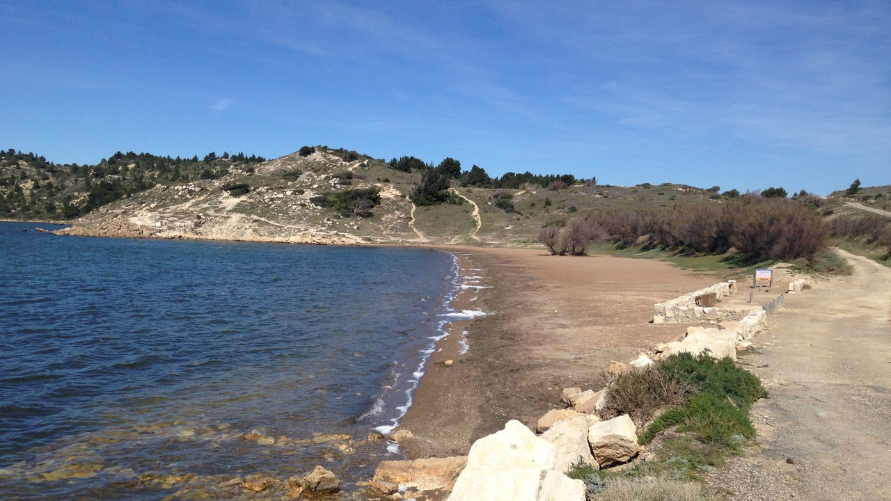 Photo of Others in Bages