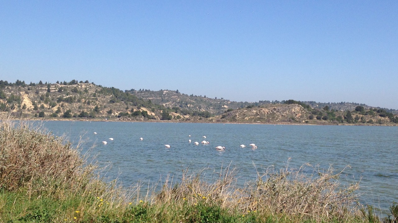 Photo of Others in Bages
