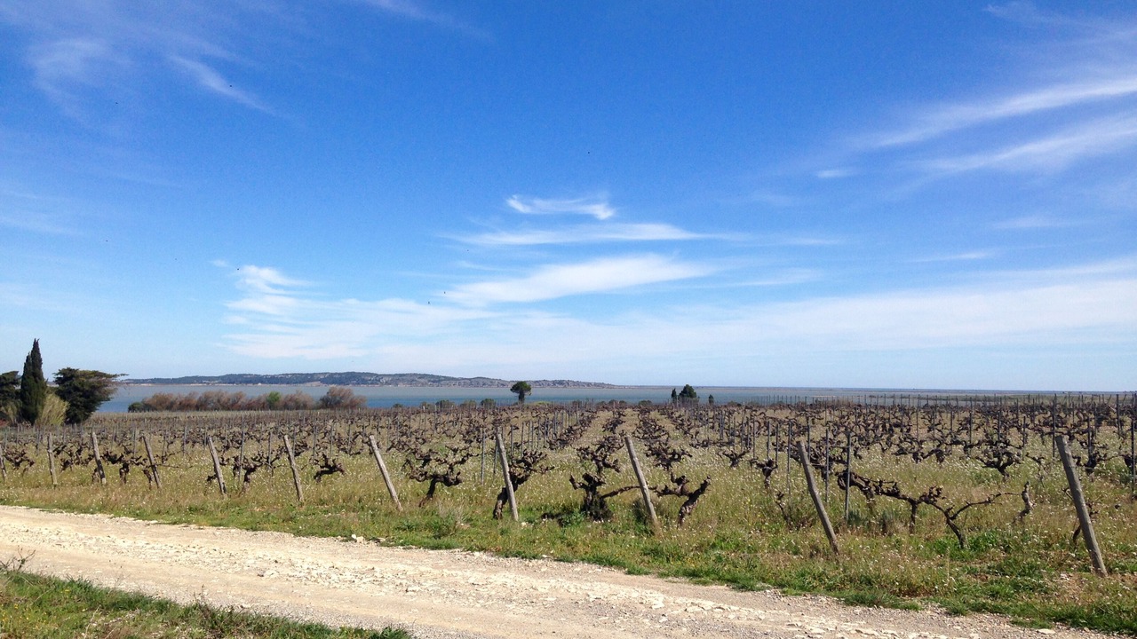 Photo of Outdoor in Bages