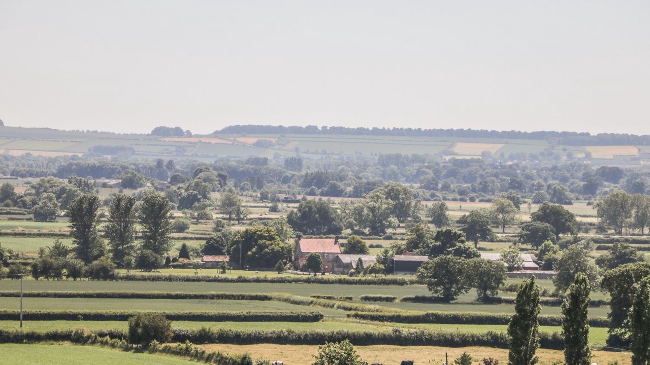Photo of Others in Scawton