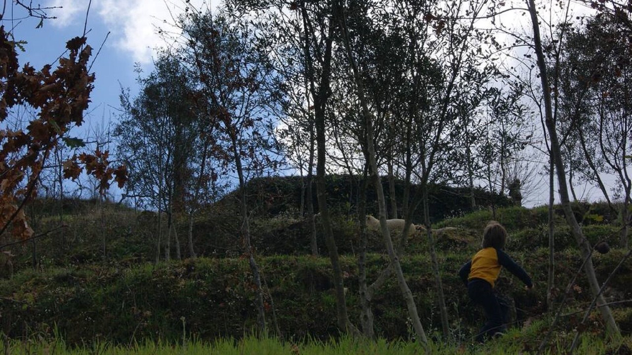 Photo of Outdoor in Molares