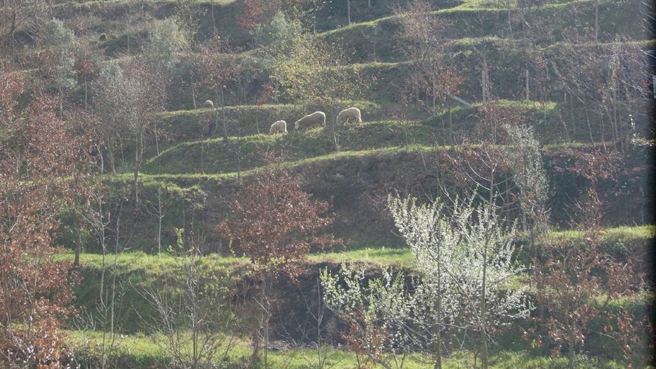 Photo of Outdoor in Molares