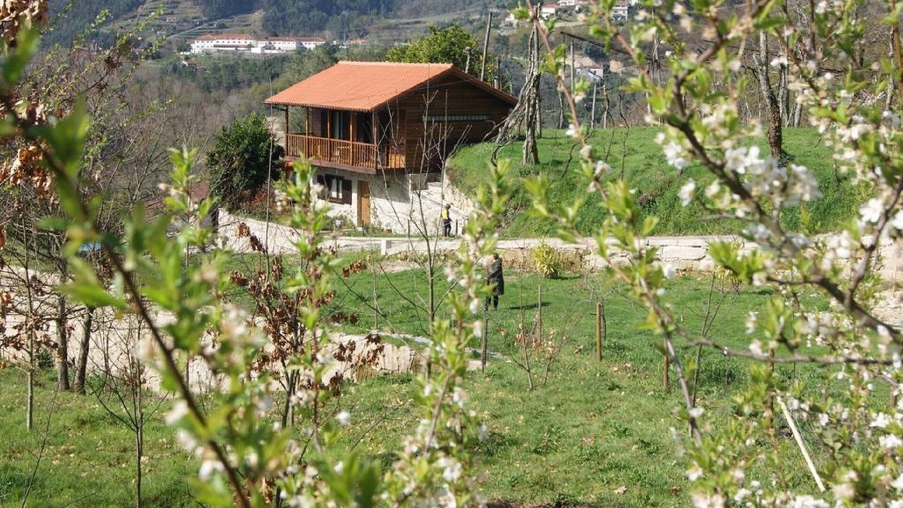 Photo of Outdoor in Molares