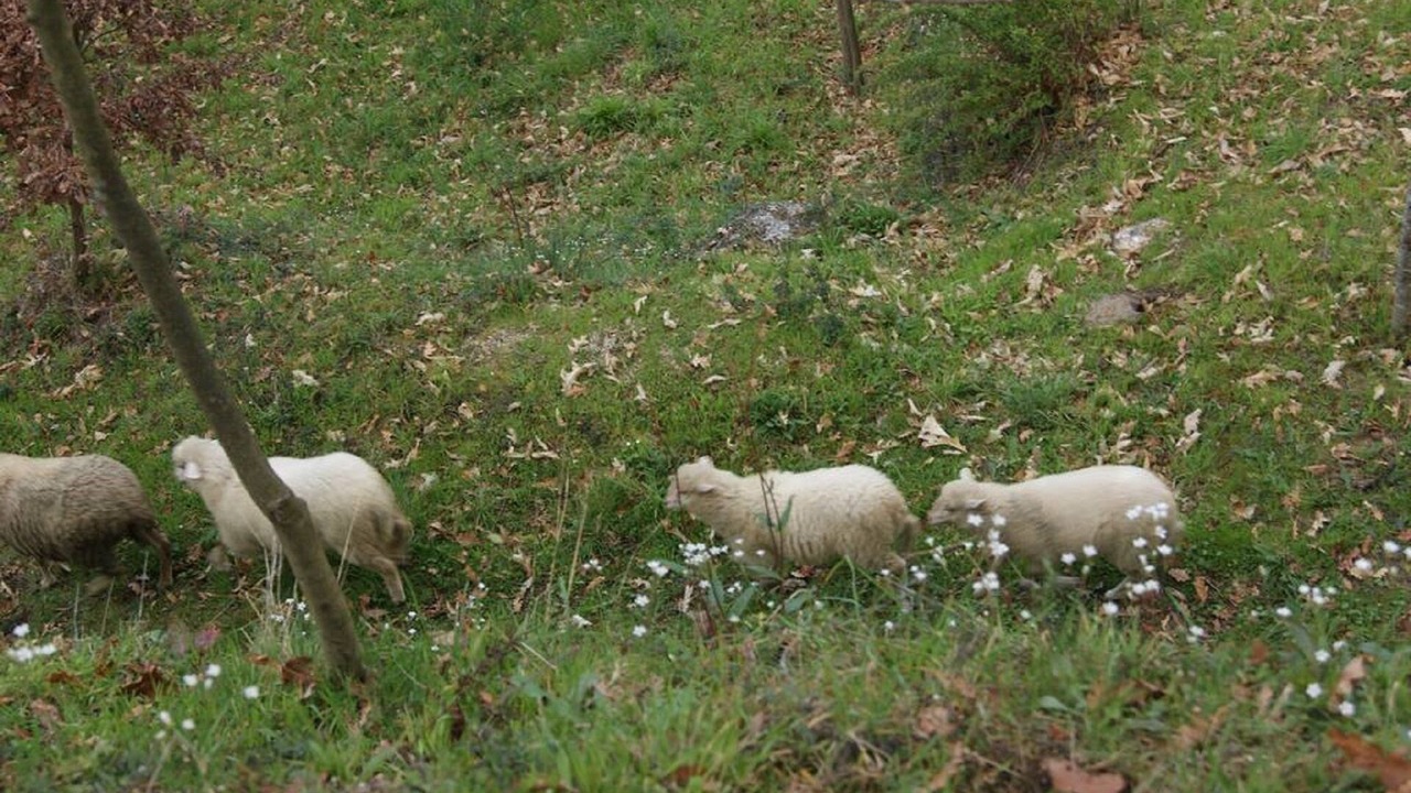 Photo of Outdoor in Molares