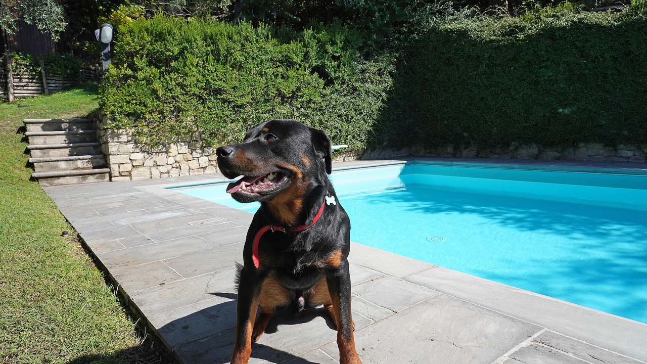 Photo of Outdoor in Gardone Riviera