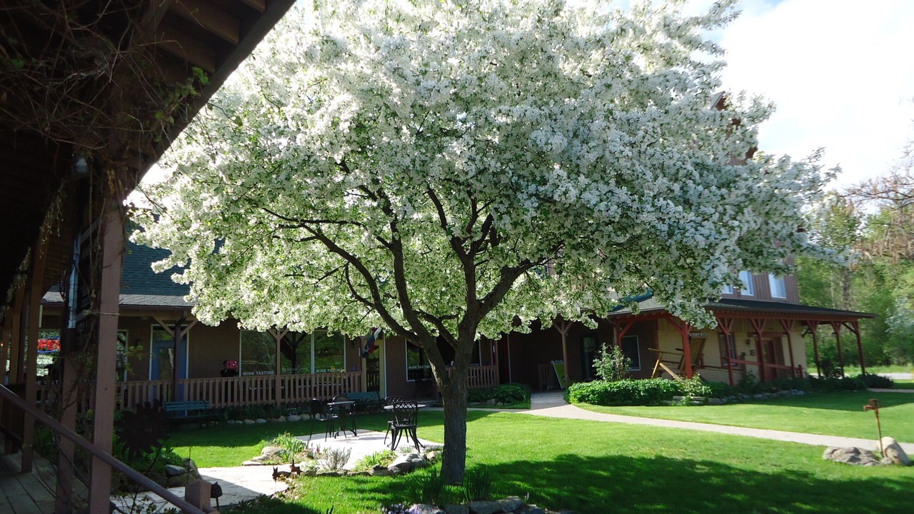Photo of Outdoor in Suttons Bay