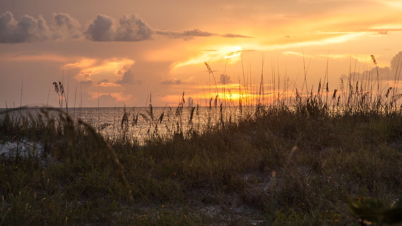 Photo of Others in Holmes Beach