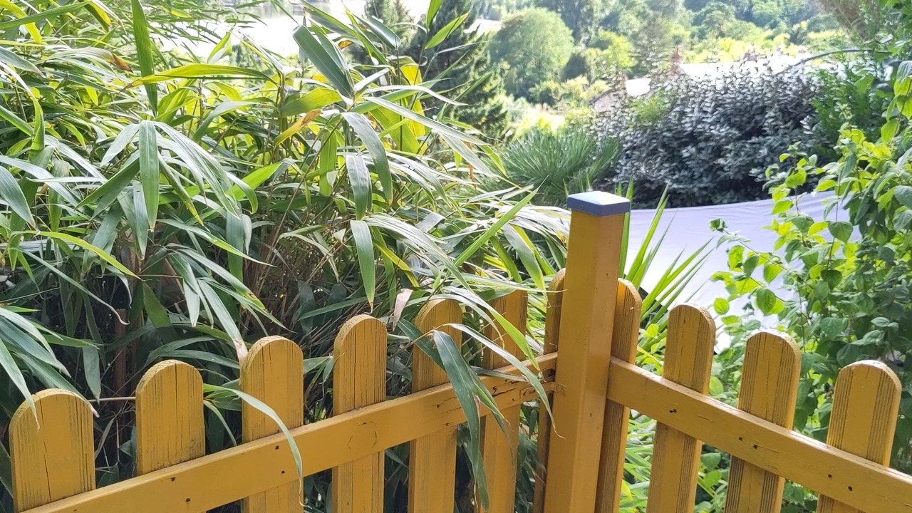Photo of Outdoor in Rochecorbon