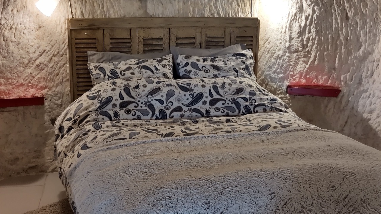 Photo of Bedroom in Rochecorbon