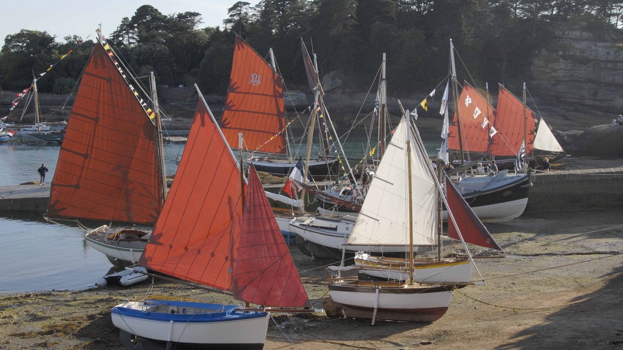 Photo of Others in Tregastel