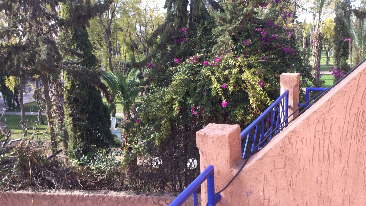 Photo of Outdoor in Marrakech