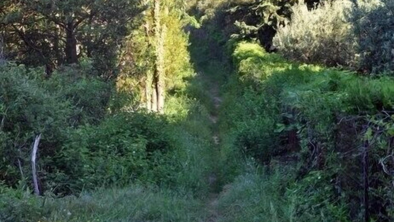 Photo of Outdoor in Boisset-et-Gaujac