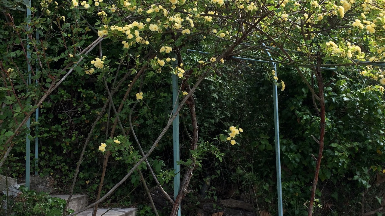 Photo of Outdoor in Claviers