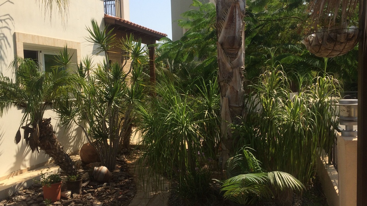Photo of Outdoor in Ayia Thekla