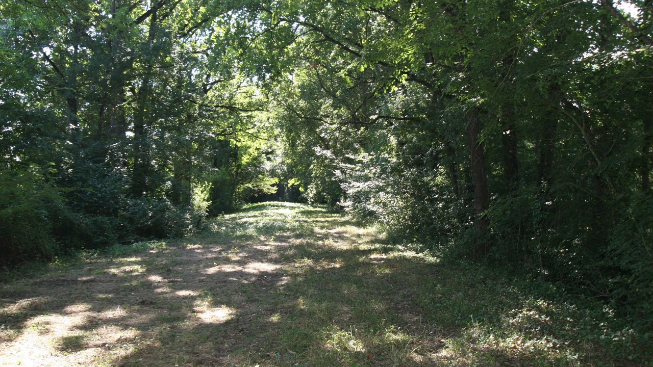 Photo of Others in Lempaut
