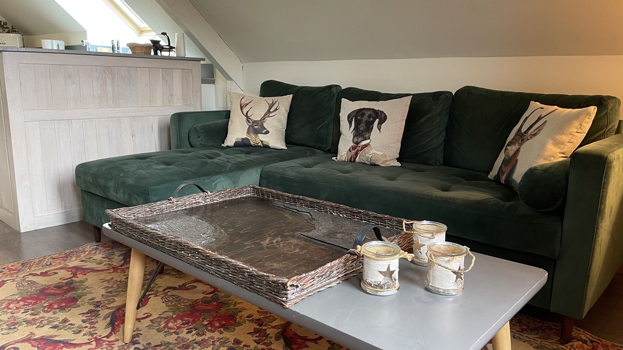 Photo of Livingroom in Buhl