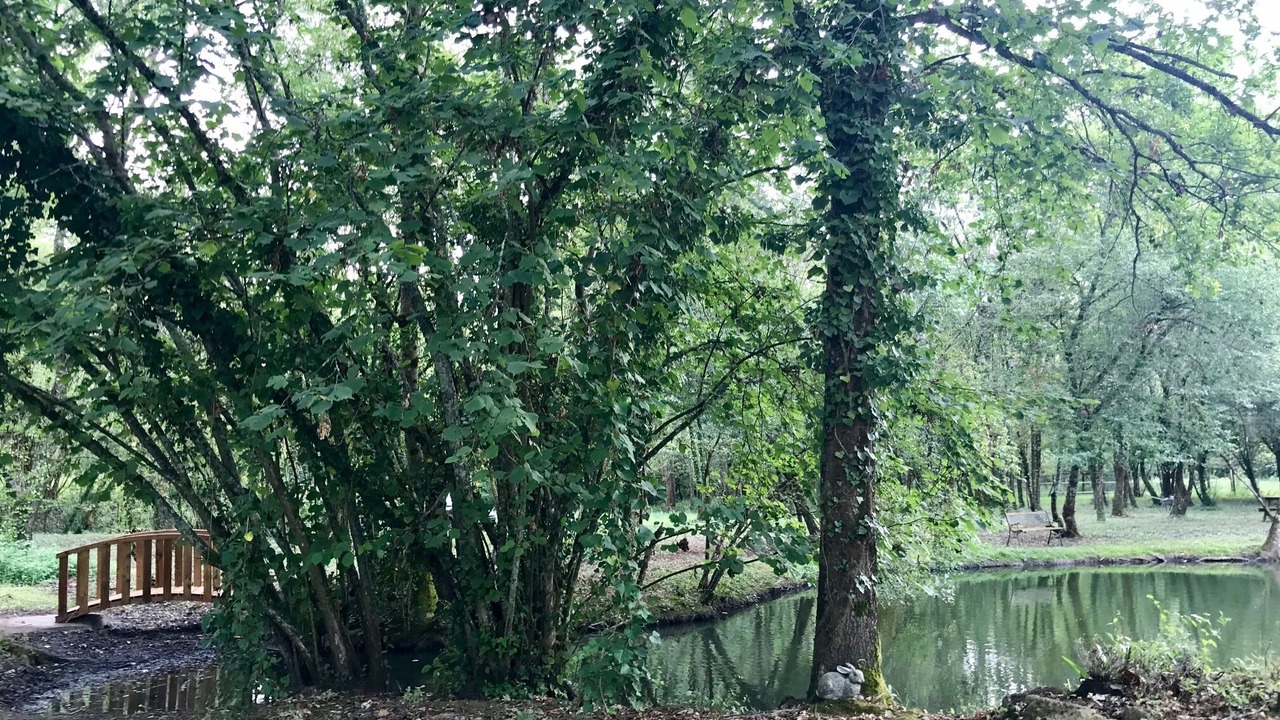 Photo of Outdoor in Saint-Christoly-de-Blaye