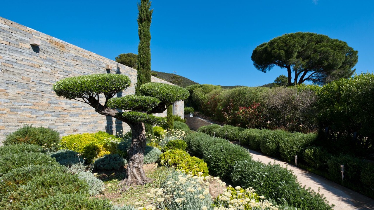 Photo of Outdoor in Hameau de Palombaggia