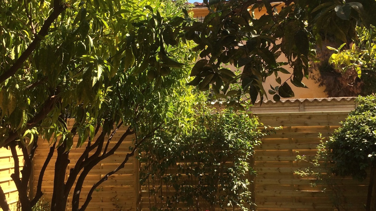 Photo of Outdoor in Argeles-sur-Mer