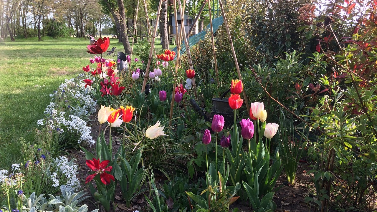 Photo of Outdoor in Avoine