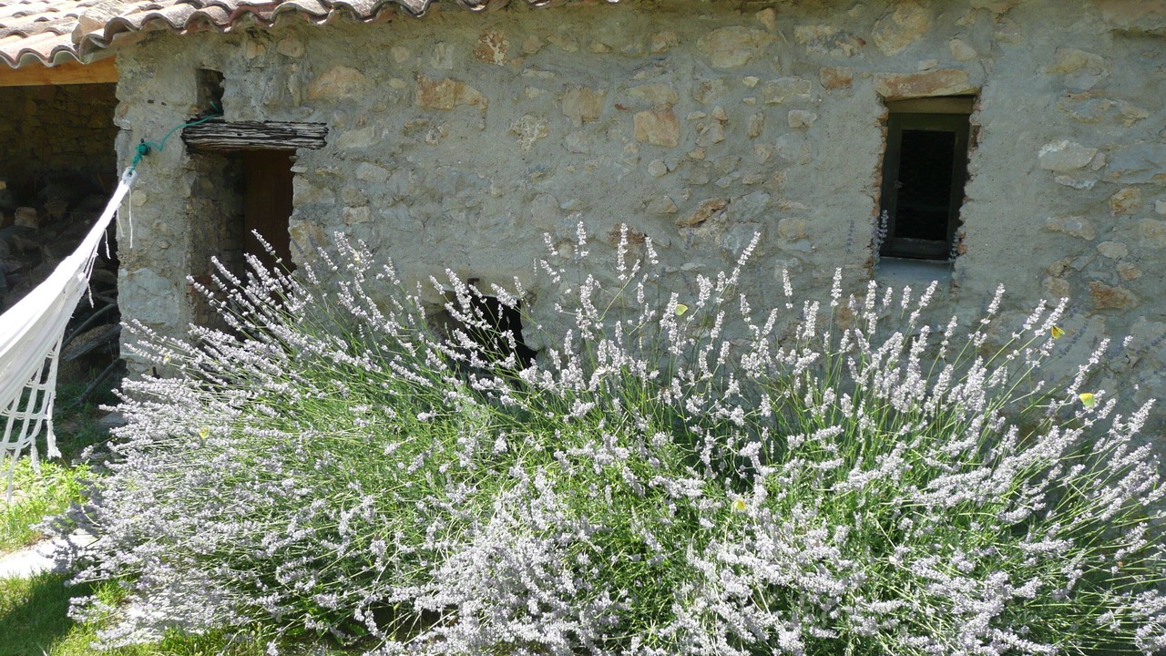 Photo of Outdoor in Le Vigan