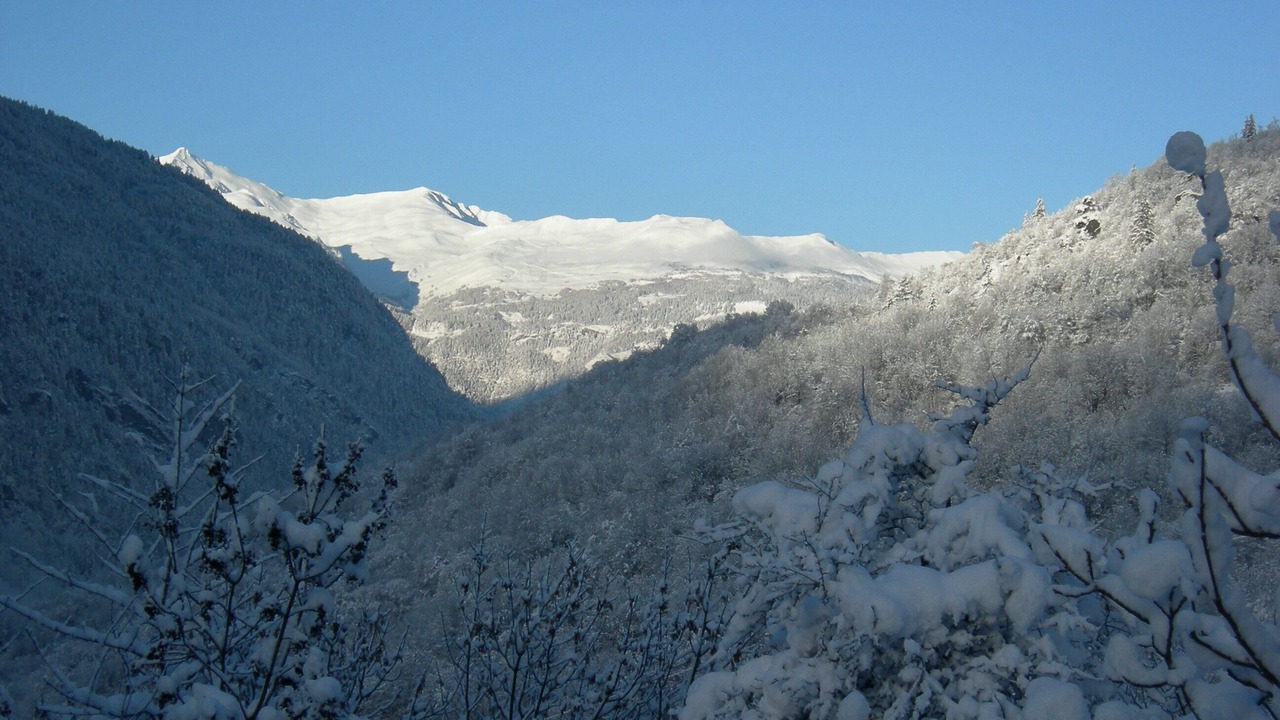 Photo of Others in Orelle