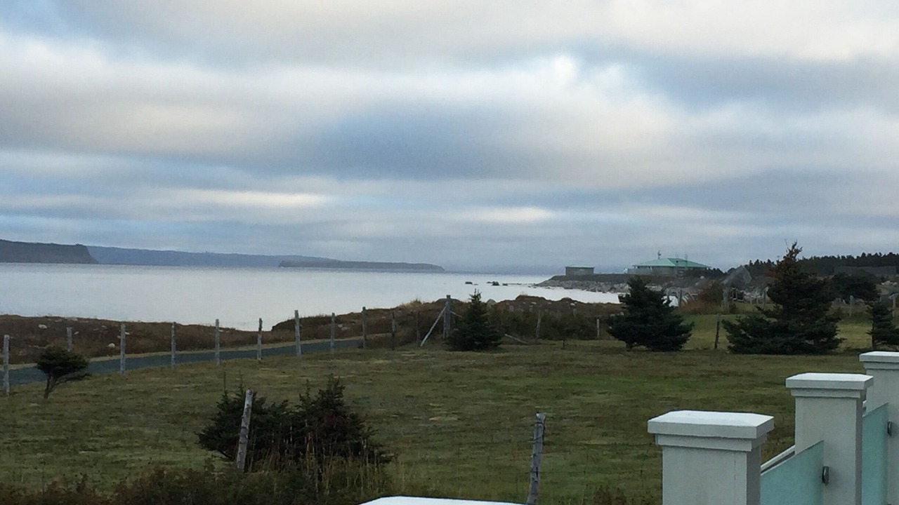 Photo of Outdoor in Conception Bay South