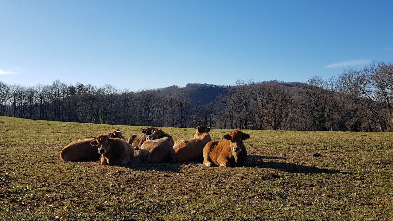 Photo of Outdoor in Saint-Geniez-d'Olt