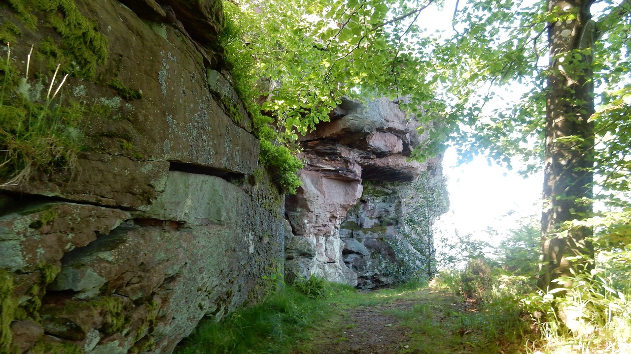 Photo of Outdoor in Moyenmoutier