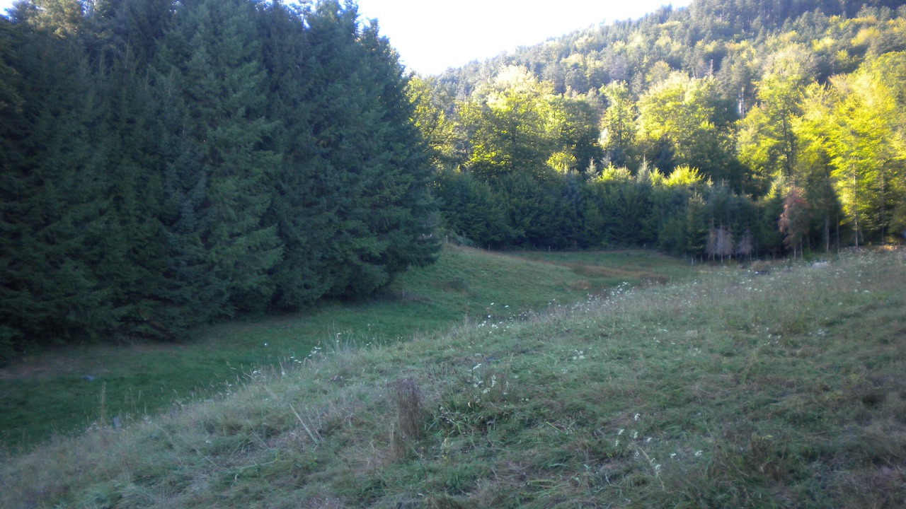 Photo of Outdoor in Moyenmoutier