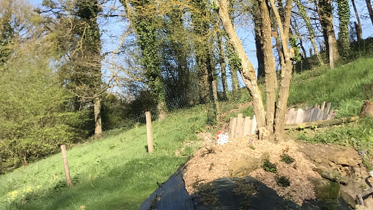 Photo of Outdoor in Rochecorbon