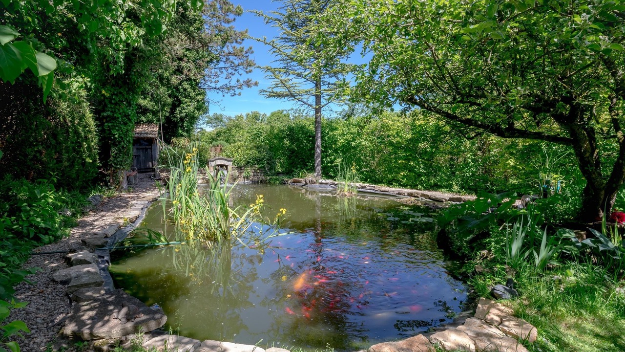 Photo of Outdoor in Levernois